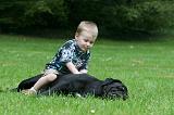 ENFANT ET CHIEN 497